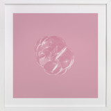 Sargasso Children's Art Prints