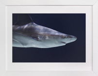 Deep Blue Children's Art Prints