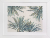 Fronds in High Places Children's Art Prints