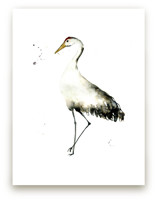 Cranes on the go by Lulaloo