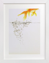 Aquatic High Jump 2 of 3 Children's Art Prints