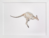Watercolor Leaping Kangaroo Children's Art Prints