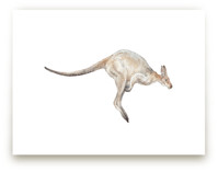 Watercolor Leaping Kang... by Lauren Rogoff