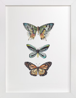 Butterfly Colorful Watercolors Children's Art Prints