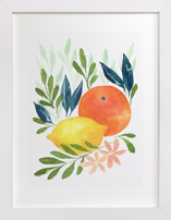 Citrus Garden Children's Art Prints