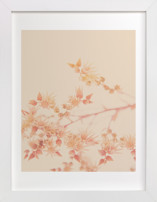 Amore II Children's Art Prints