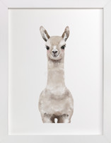 Baby Animal Llama Children's Art Prints