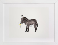 baby donkey Children's Art Prints