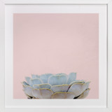 Succulent No2 Children's Art Prints