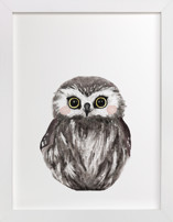 Baby Animal Owl Children's Art Prints