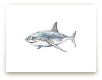 Shark in Smiling Waters by Lauren Rogoff