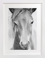 Wild and free. Children's Art Prints