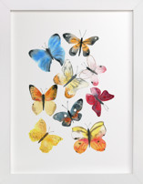 Watercolor butterflies Children's Art Prints