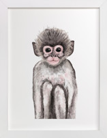 Baby Animal Monkey Children's Art Prints