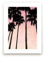 Palm trees & pink skies by Dawn Smith