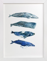 Whales Children's Art Prints