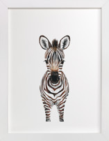 Baby Zebra 2 Children's Art Prints