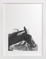 Foal Children's Art Prints