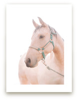 soulful by Alicia Abla