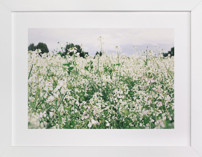 Dream Field Children's Art Prints