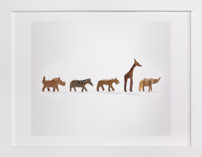 Safari March