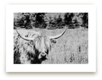 Junior by Janet Cruz