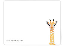 Baby Animal Giraffe