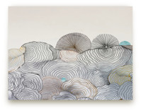 Shells in sand Children's and Nursery Wall Mural