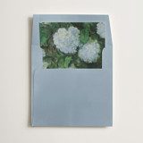 Hydrangeas Slip-In Envelope Liners