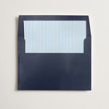 Pinstripe Slip-In Envelope Liners
