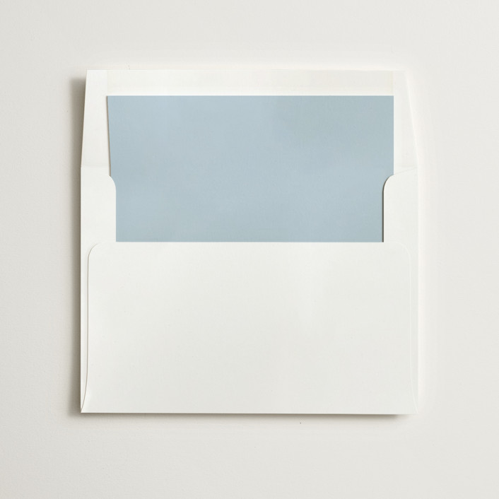 Blue Liner SlipIn Envelope Liners by Minted Minted