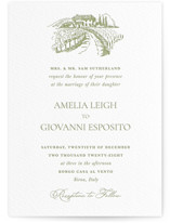 Vineyard Elegance