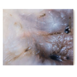 Flowing Through My Veins Original Painting