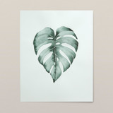 Monstera leaf watercolor painting Original Painting