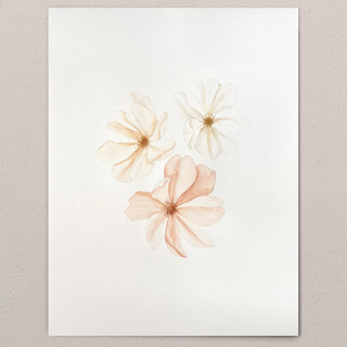 Cosmos flowers Original Painting