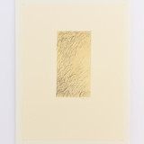 Grasses Pastel Original Painting