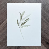 Olive Branch Original Painting