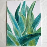 Watercolor agave original painting Original Painting