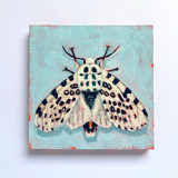Mini Moth Oil Painting Original Painting