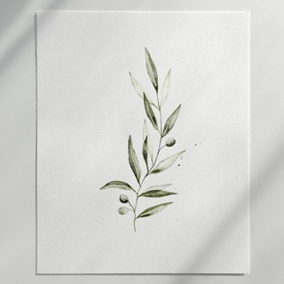 Olive Branch 01 Original Painting