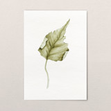 Fallen Leaves 08 Original Painting