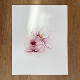 Purple Figs Fruit 02 Original Painting