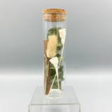 Dried Flower Herbarium Botanical Eucalyptus Bridesmaid gifts