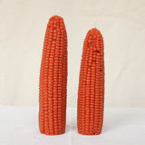 Maple Leaf - Corn Beeswax Candle Set Candles & Holders