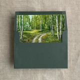 Birch tree pathway fine art landscape printed liner for A7 square flap envelope | pack of 10 Envelope Liners