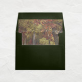 A7 Fine Art Envelope Liners Square Flap // Autumn Woodland (Set of 25) Envelope Liners
