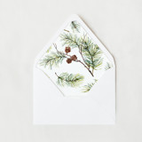 Winter Pine | Set of 25 Euro Envelope Liners Envelope Liners