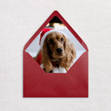 Custom Pet Photo Envelope Liners, Pack of 25 Envelope Liners