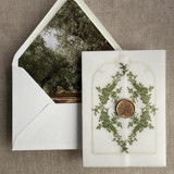 Moss french crest vellum wrap for 5x7 card + olive trees liner for A7 euro envelope Envelope Liners