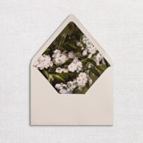 Tropical Floral Envelope Liners, Pack of 25 Envelope Liners